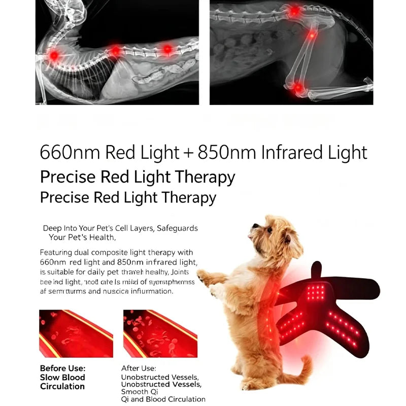 36 LED Wearable Red Light Therapy Device for Dogs & Cats Pet Light Therapy Device Qst