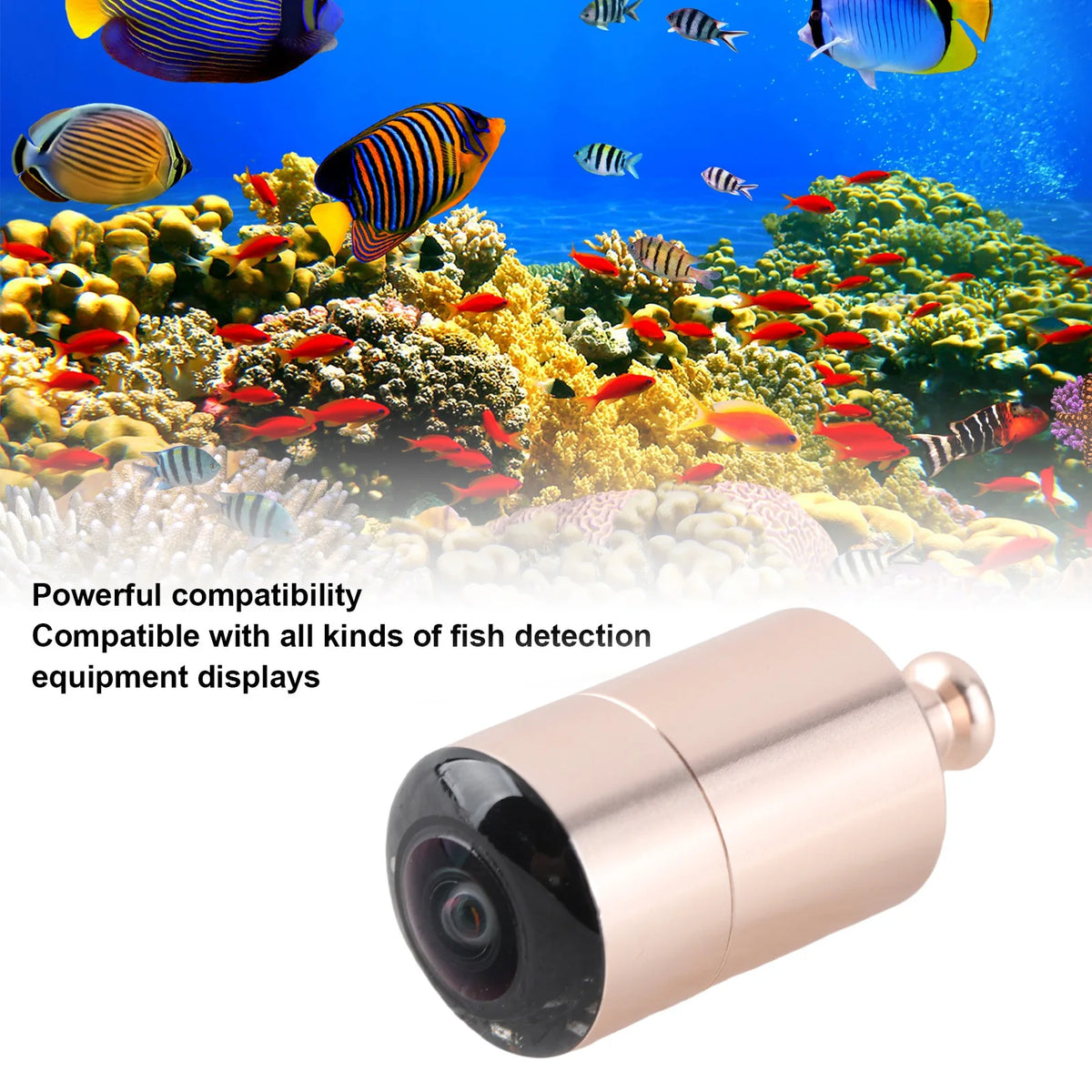 Underwater Fish Finder Camera CVBS HD Infrared 195° Wide Angle Fish Finder Camera Qst