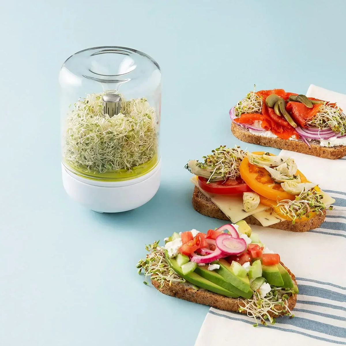 Countertop Bean Sprout Growing Kit – Reusable Sprouter Sprouting Kit Qme