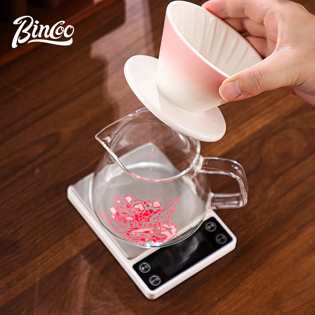 Bincoo Ceramic Pour Over Coffee Set – Dripper & Carafe Pour Over Coffee Set Qst