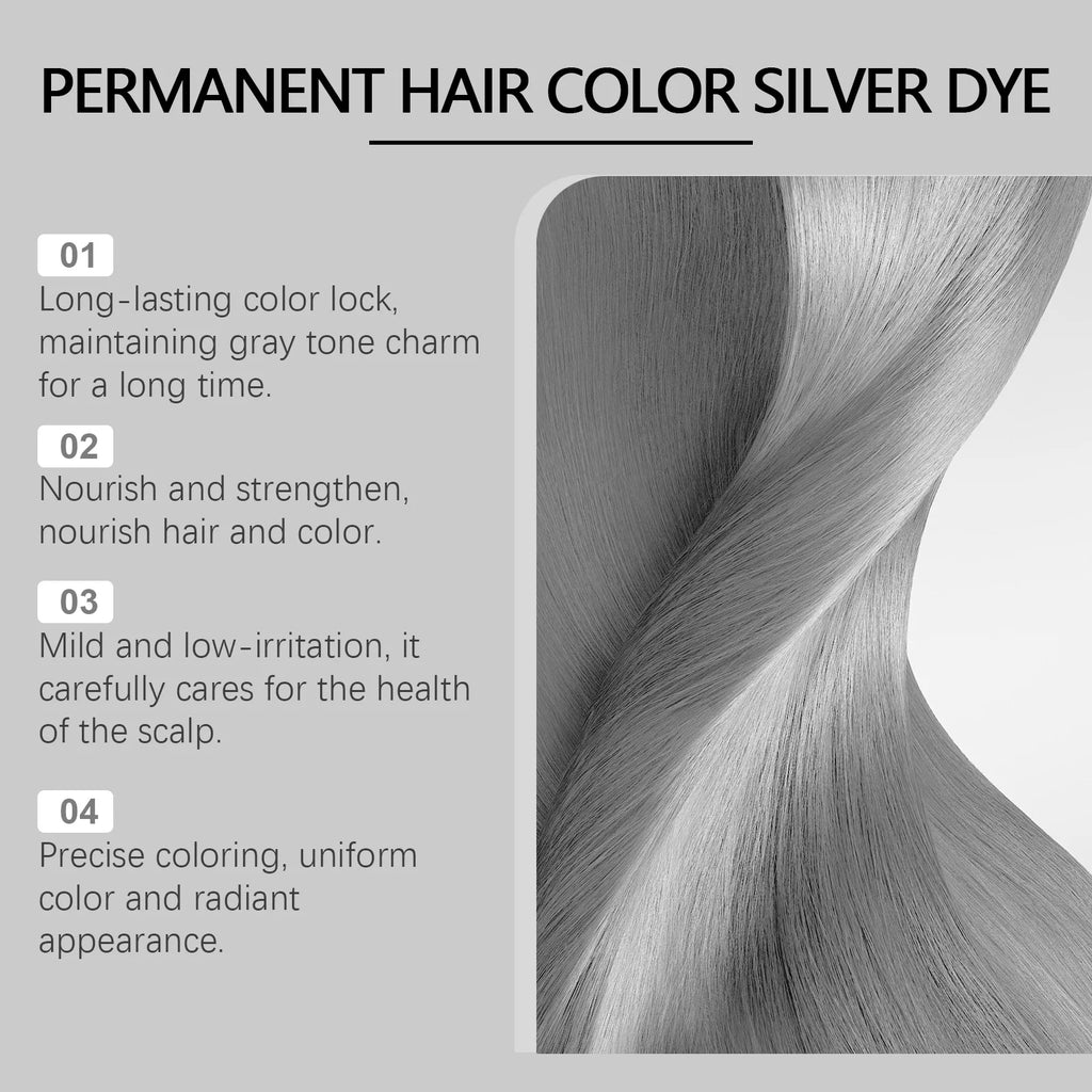 Hoegoa Gray Silver Hair Dye Cream – Metallic Punk Style Hair Dye Cream Qst
