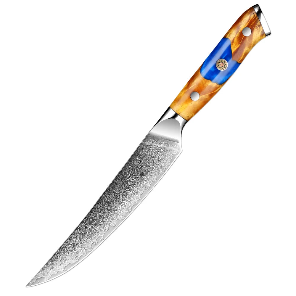 XITUO Damascus Steel Kitchen Knife Set – 1-6PCS Pro Blades Kitchen Knife Set Qst Steak Knife