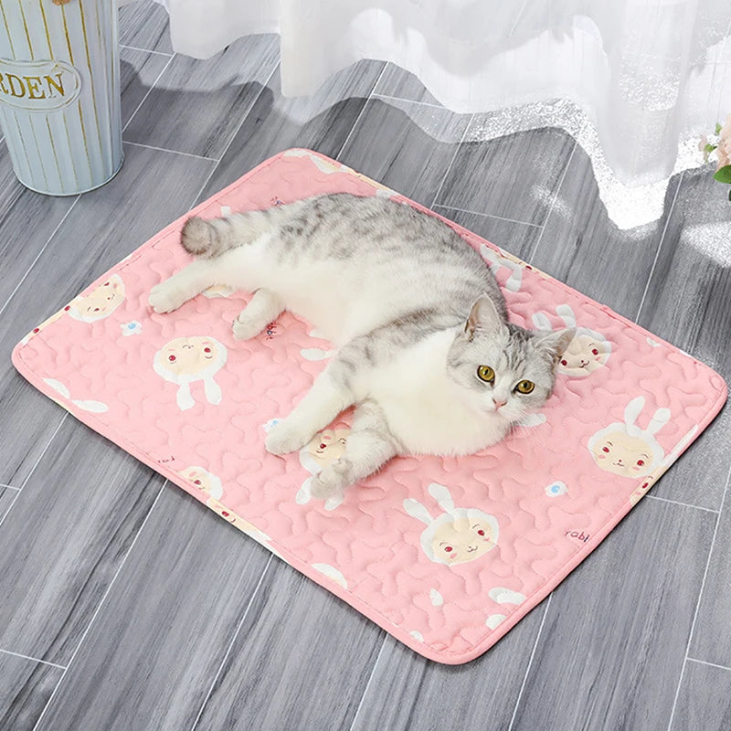 Washable Reusable Dog Pee Pad – Waterproof Pet Training Mat Dog Training Mat Qst
