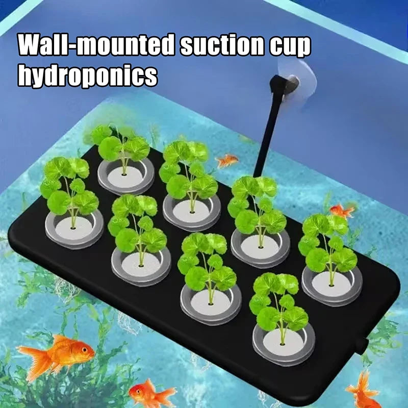 Floating Hydroponic Aquarium Planting Board | Soilless Decor Aquarium Planting Board Qme