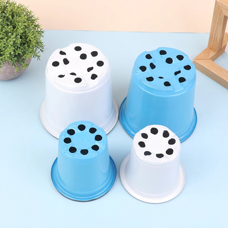 10-Pack Two-Color Plastic Seedling Pots for Succulents Seedling Nursery Pots Qst