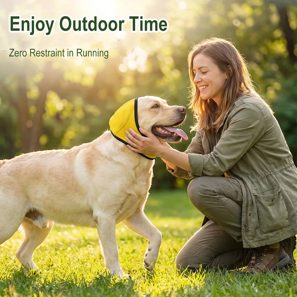 Dog Ear Muffs – Noise Reduction Calming Waterproof Earmuffs Dog Ear Muffs Qst