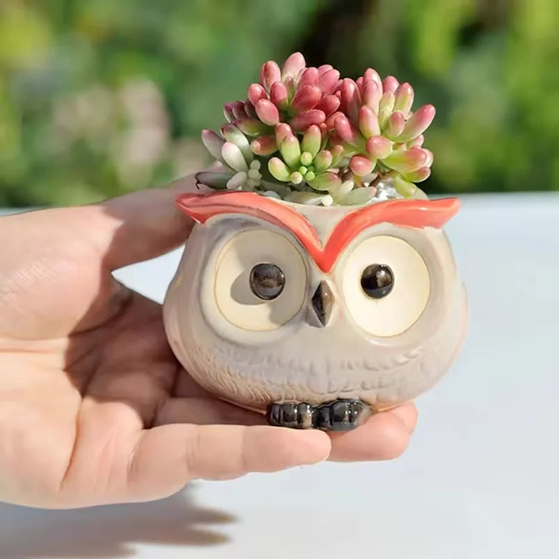 Mini Owl Ceramic Succulent Pot – Cute Animal Planter Décor Ceramic Planter Qst