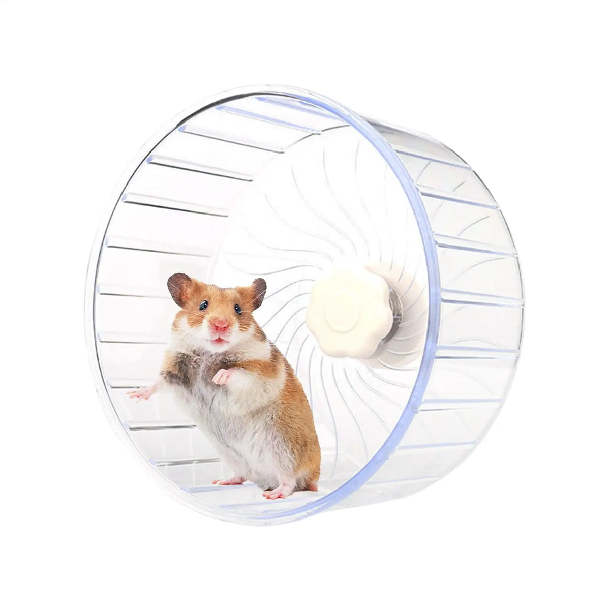Silent Hamster Wheel – Double-Bearing Quiet Spinner for Small Pets Pet Exercise Wheel Qme