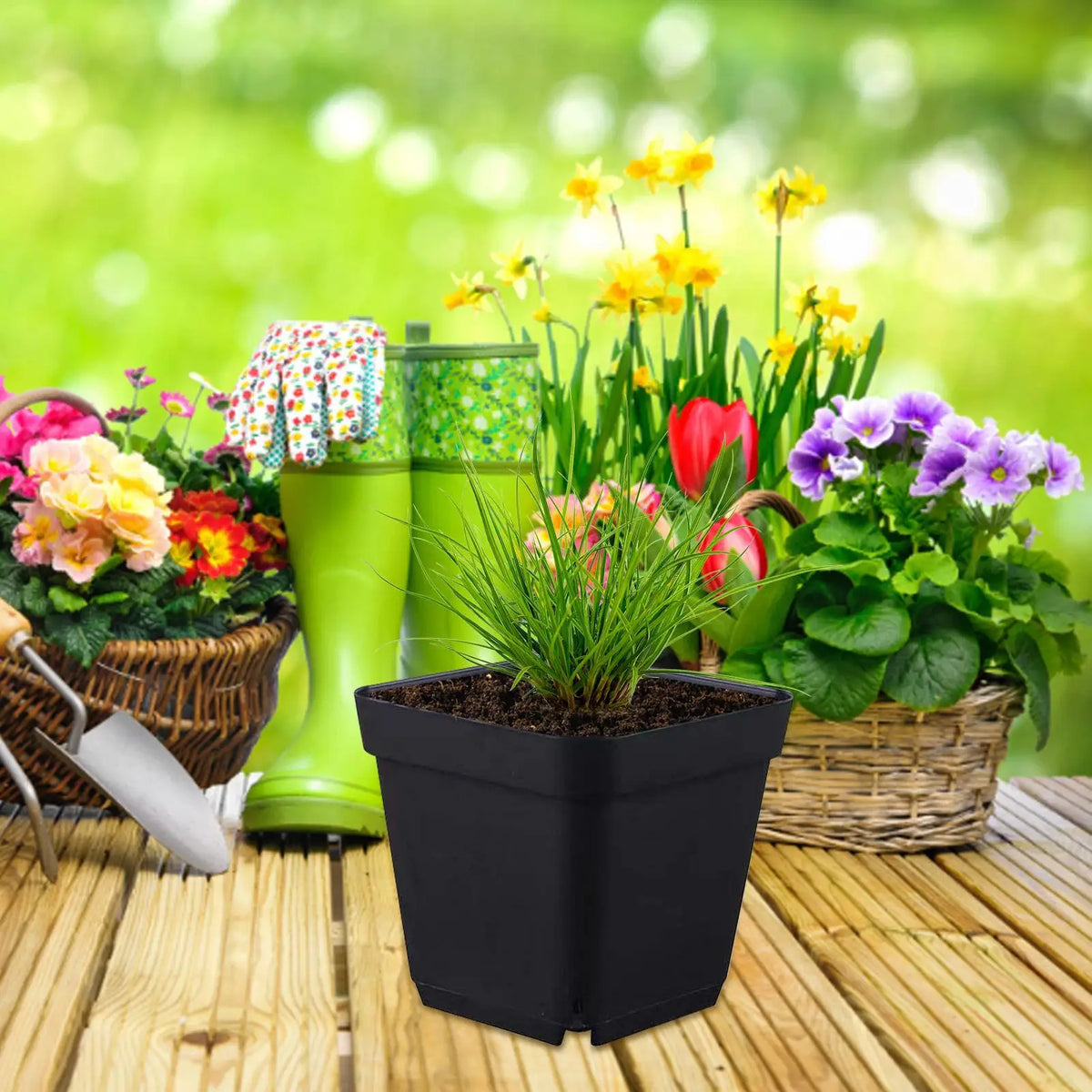 Black Square Seedling Nursery Starter Pots – Reusable Plastic Seedling Nursery Pots Qme