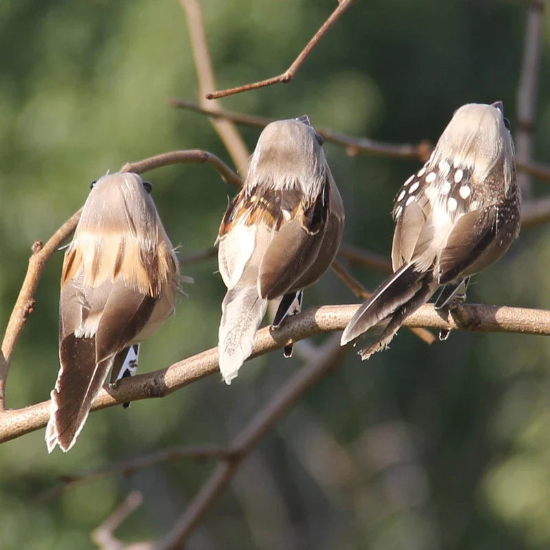Artificial Feathered Clip-On Birds – Tree & Yard Ornaments Garden Bird Ornament Qme