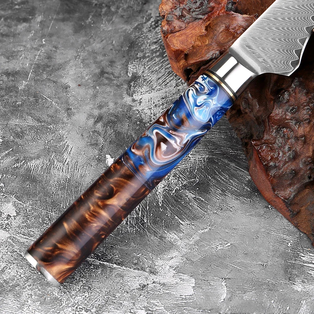 XITUO 6-Inch Damascus Steel Boning & Fillet Knife Boning Knife Qst