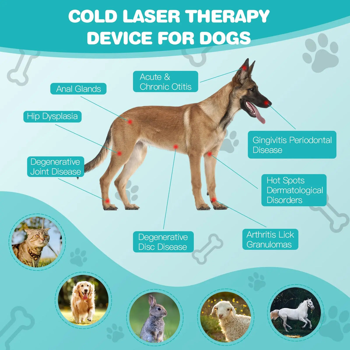 Pet Red Light Therapy Device – Dog & Cat Muscle & Wound Care Pet Light Therapy Device Qst