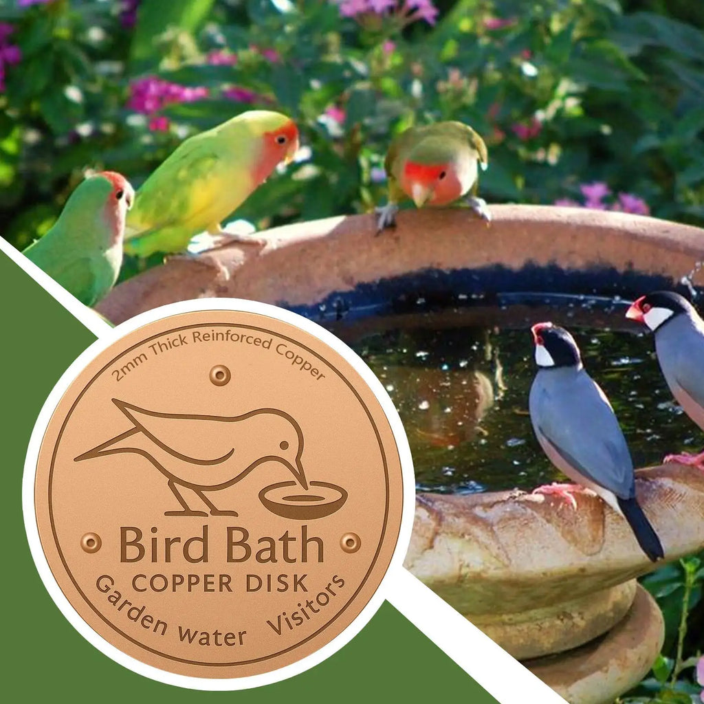 Copper Bird Bath Disk – Water Fountain Cleaning Purifier Bird Bath Accessory Qme
