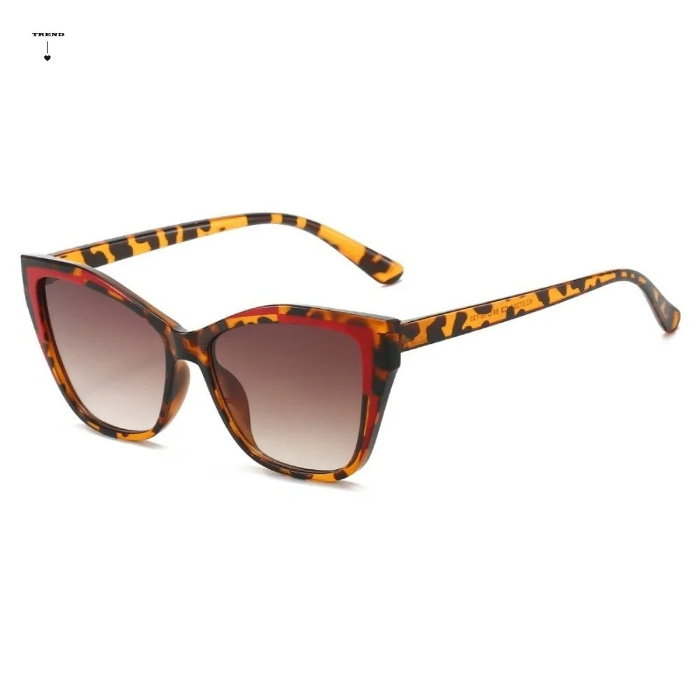 Y2K Cat Eye Sunglasses Steampunk Square Frame – 6 Colors Fashion Sunglasses Qme