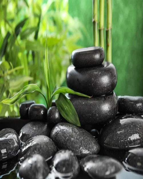Green Bamboo Zen Stone Canvas Wall Art – Unframed Print Canvas Wall Art Qst 20 30x40cm Unframed