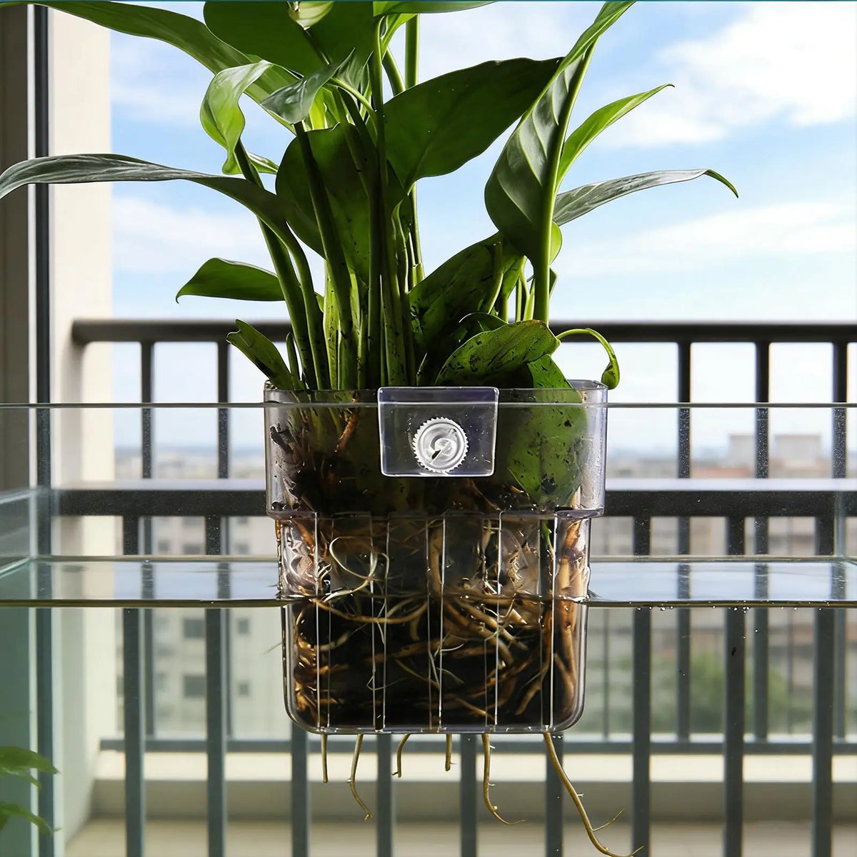 Transparent Hangable Aquatic Plant Holder Cup for Fish Tank Aquarium Plant Holder Qme