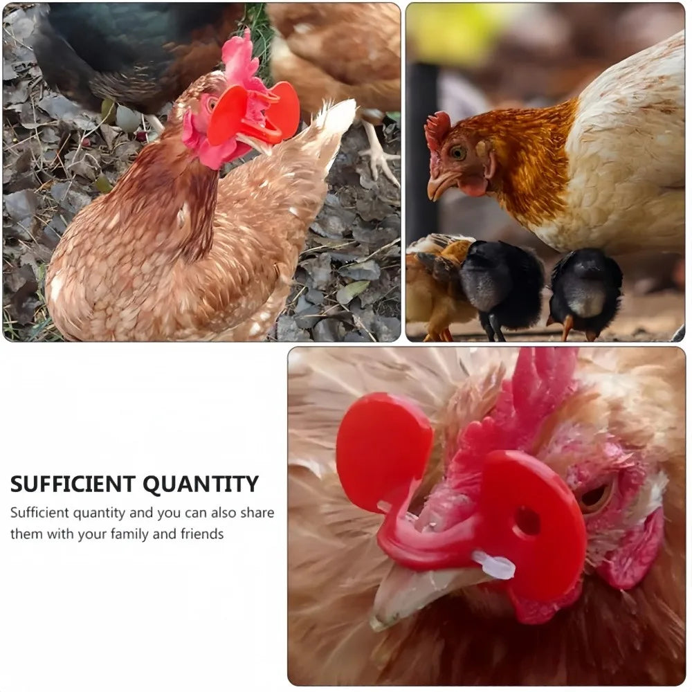Peck-Resistant Chicken Goggles | Plastic Poultry Eye Protection Poultry Safety Goggles Qme