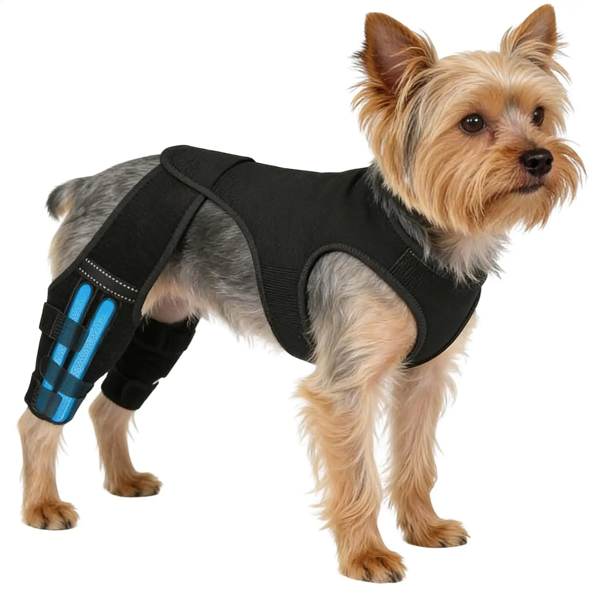 Dog Rear Leg Brace – Adjustable Wrap with 4 Metal Stabilizers Dog Leg Brace Qme