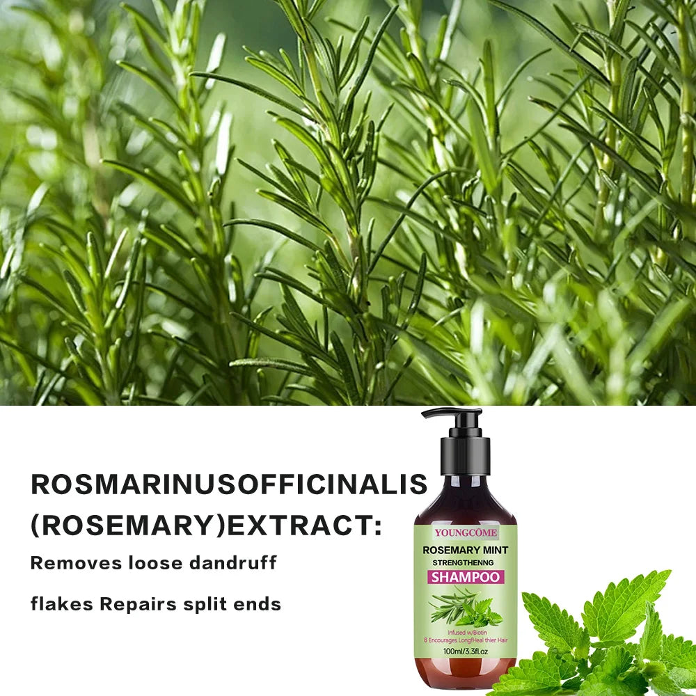 YOUNGCOME Rosemary Mint Strengthening Shampoo 100ml Strengthening Shampoo Qst