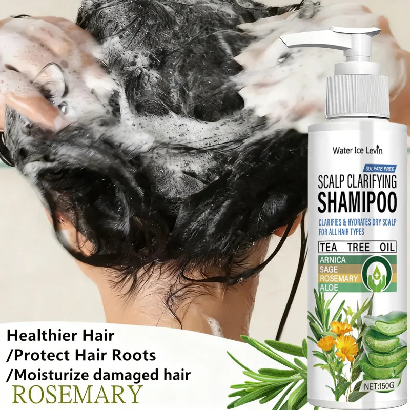 Sulfate-Free Clarifying Shampoo | Tea Tree & Arnica Clarifying Shampoo Qme