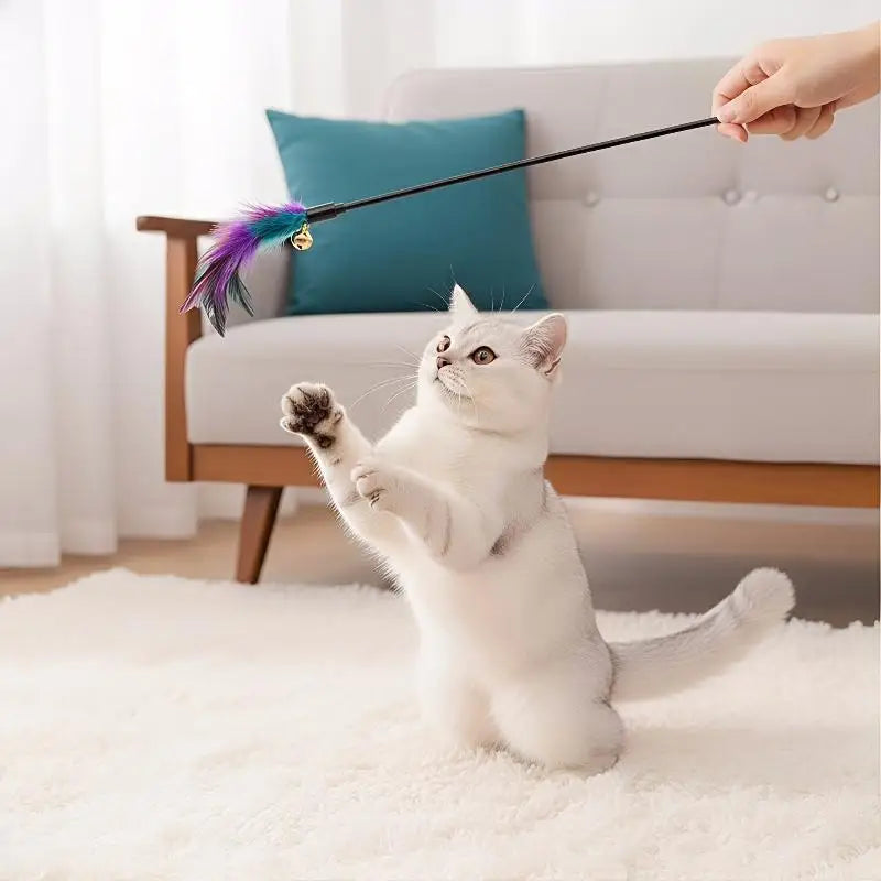 Cat Interactive Wand Toy – Colorful Chicken Stick & Bell Cat Wand Toy Qme