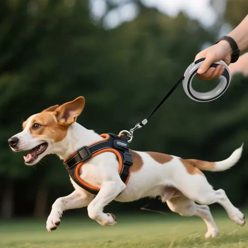 Retractable Dog Leash 250cm for Small & Medium Dogs Retractable Dog Leash Qst