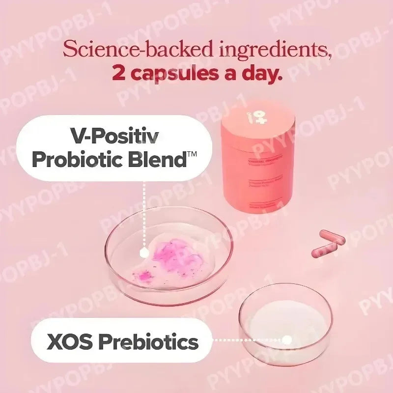 Women's Probiotic Capsules – Lactobacillus & Prebiotic 60ct Probiotic Supplement Qst