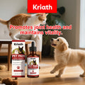 Pet Herbal Care Drops – Joint & Cartilage Support for Pets Pet Herbal Supplement Qme Default Title