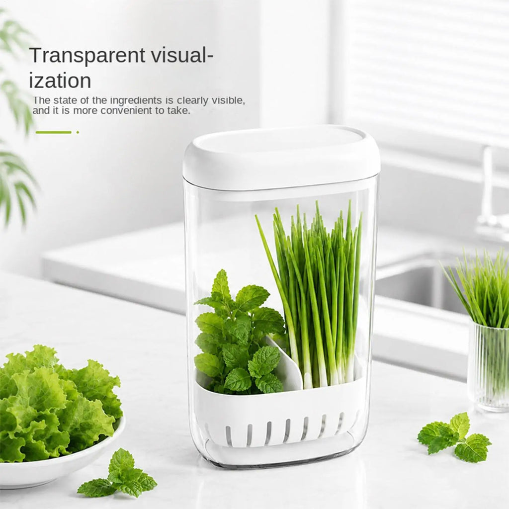 Cilantro Keeper with Drainage – Upright Space-Saving Produce Saver Produce Storage Container Qme