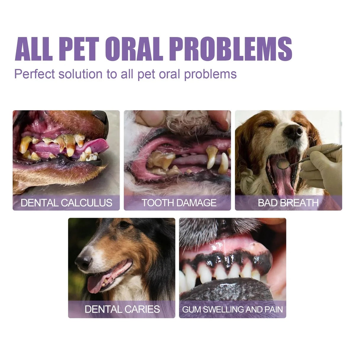 Pet Oral Gel – Dog & Cat Tartar Remover, Teeth Whitener Pet Dental Gel Qme