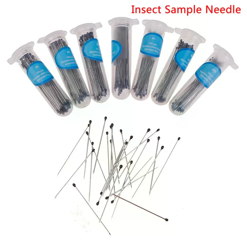Stainless Steel Insect Pins for Specimen Mounting – School Lab Specimen Insect Pins Qme