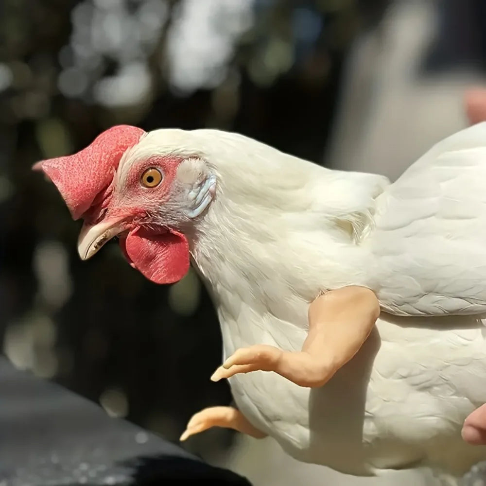 Chicken Giant Arm Decoration – Dinosaur Forelimbs Pet Prop Novelty Pet Prop Qme