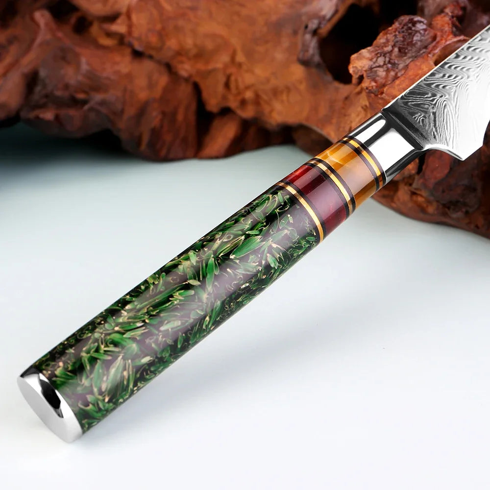 Xituo 6-Inch Damascus Steel Boning & Fillet Knife | Rosewood Boning Fillet Knife Qst