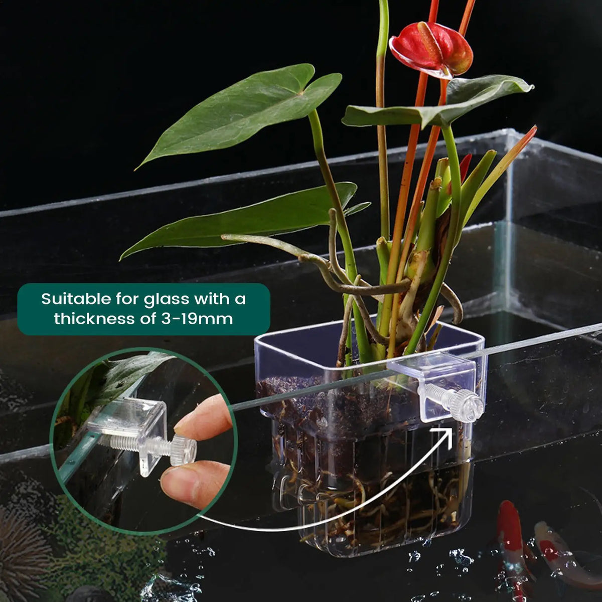 Transparent Hangable Aquatic Plant Holder Cup for Fish Tank Aquarium Plant Holder Qme