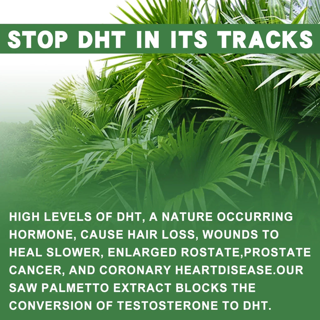 Saw Palmetto Capsules – Prostate, Urinary & Hair Growth Support Herbal Supplement Qst