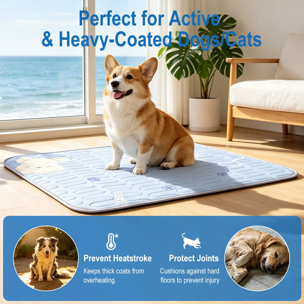 Dog Cooling Mat – Washable Latex Pad for All Dog Sizes Dog Cooling Mat Qst