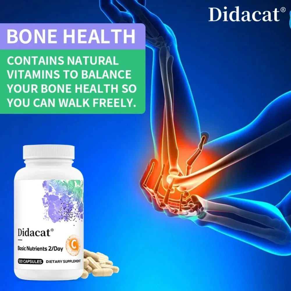 Multivitamin & Mineral Capsules – Zinc, D3 & K2 | Didacat Multivitamin Supplement Qst