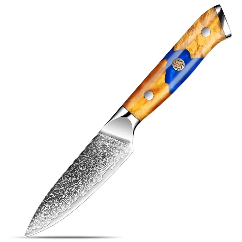 XITUO 3.5" Damascus Steel Paring Knife – Wood Resin Handle Damascus Paring Knife Qst Paring Knife