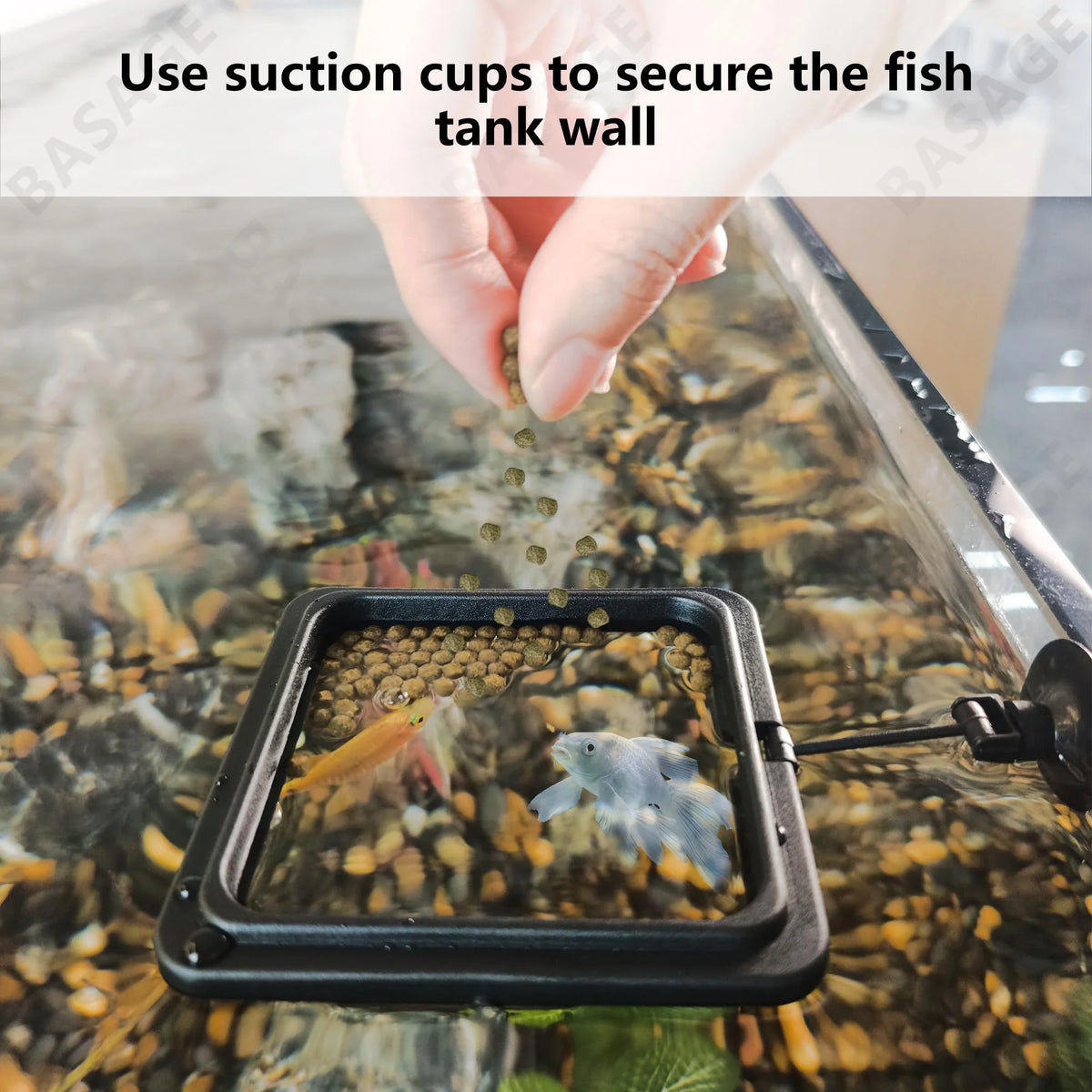 Aquarium Floating Feeding Ring Fish Tank Food Tray Feeder Fish Feeding Ring Qme