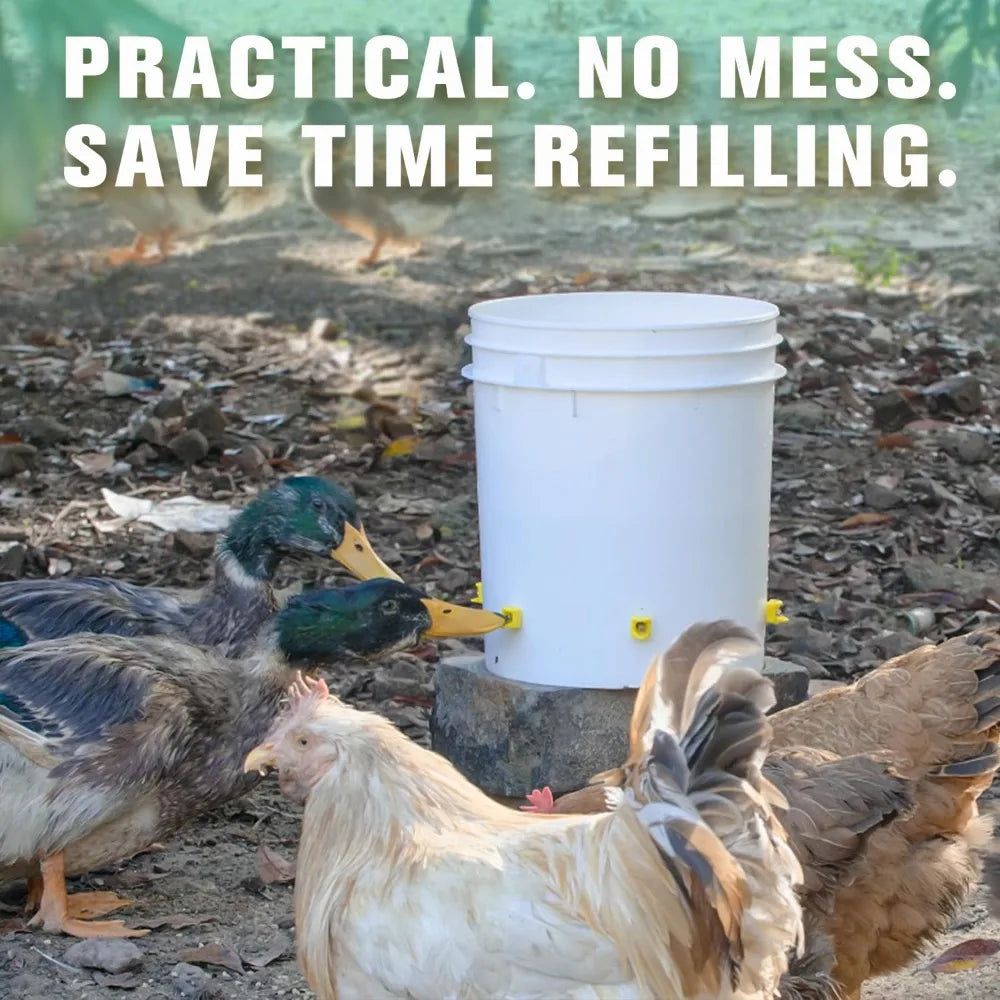 Chicken Automatic Water Dispenser – Easy Install, Leak-Free Poultry Water Dispenser Qme