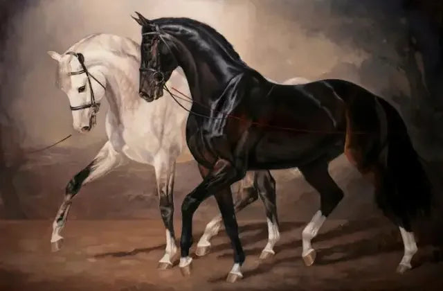Wild Horse Canvas Wall Art – Modern Animal Poster Print Canvas Wall Art Qst P5 50x70cm Unframed