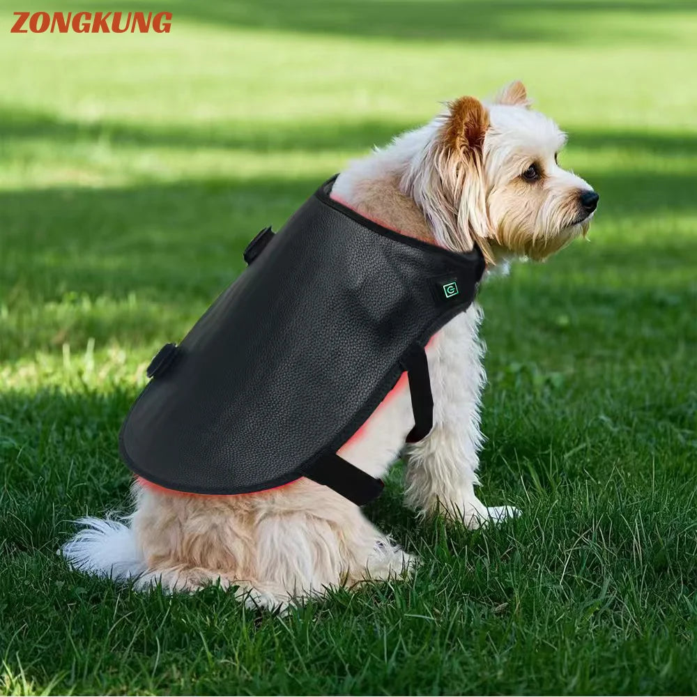 Pet Red Light Therapy Belt – 128 LED 660nm & 808nm for Dogs Pet Light Therapy Belt Qst