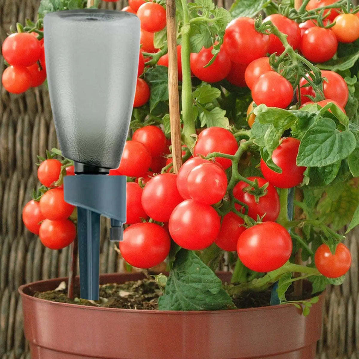 Plant Watering Spikes with Control Valve | Auto Irrigation Stakes Irrigation Watering Spikes Qme