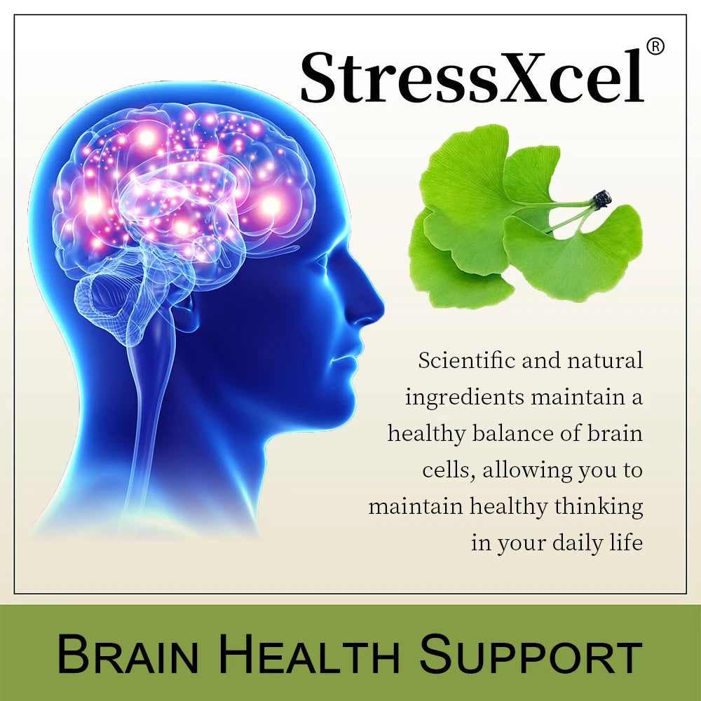 VITALXTRA Ginkgo Biloba Capsules – Focus, Memory & Eye Health Herbal Supplement Qst