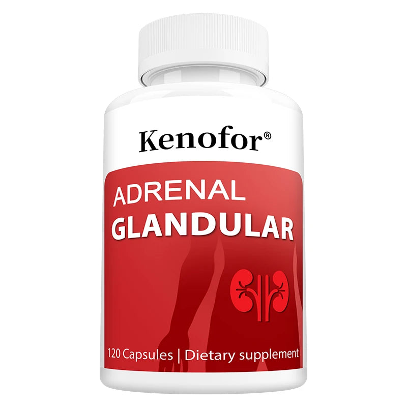 VITALXTRA Adrenal Bovine Capsules – Focus, Mood & Vitality Wellness Supplement Qst 120 count 5 bottle