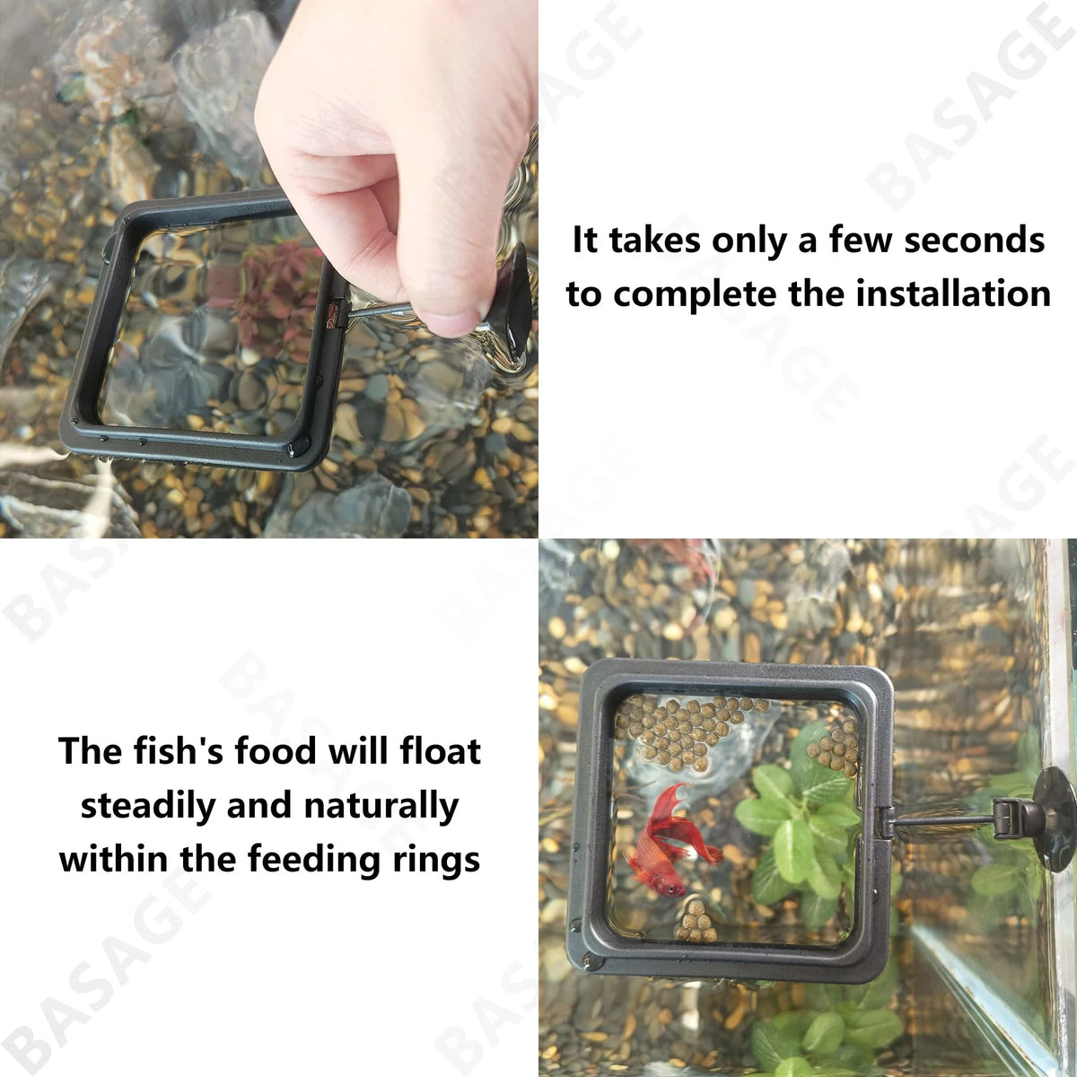 Aquarium Floating Feeding Ring Fish Tank Food Tray Feeder Fish Feeding Ring Qme