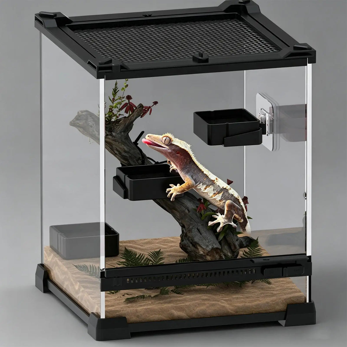 Wall Mount Reptile Food & Water Bowl – Gecko, Iguana Reptile Feeder Bowl Qme