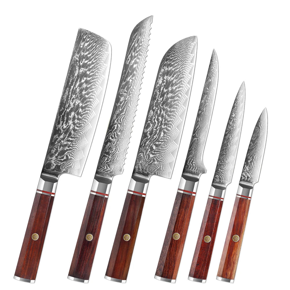 XITUO Damascus Steel Kitchen Knife Set – 67-Layer VG10 Kitchen Knife Set Qst 6PCS Knife