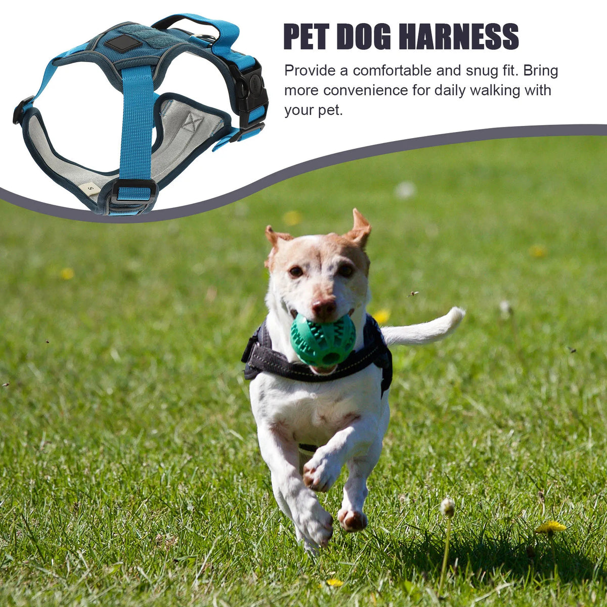 Adjustable Vest Harness for Small Dogs & Puppies | Oxford Dog Vest Harness Qme