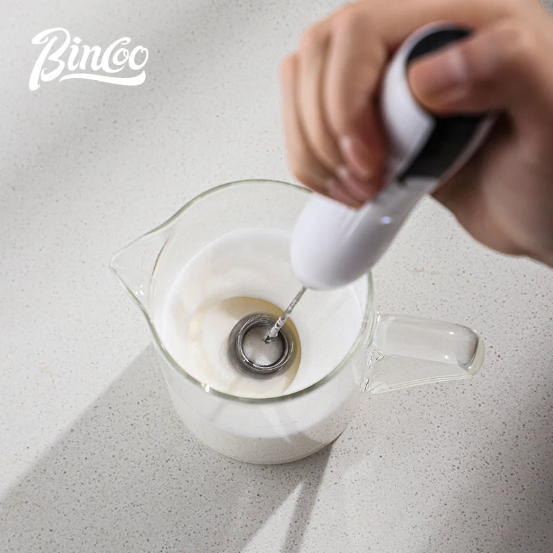 Bincoo Handheld Electric Milk Frother – Double-Head Mixer Electric Milk Frother Qst